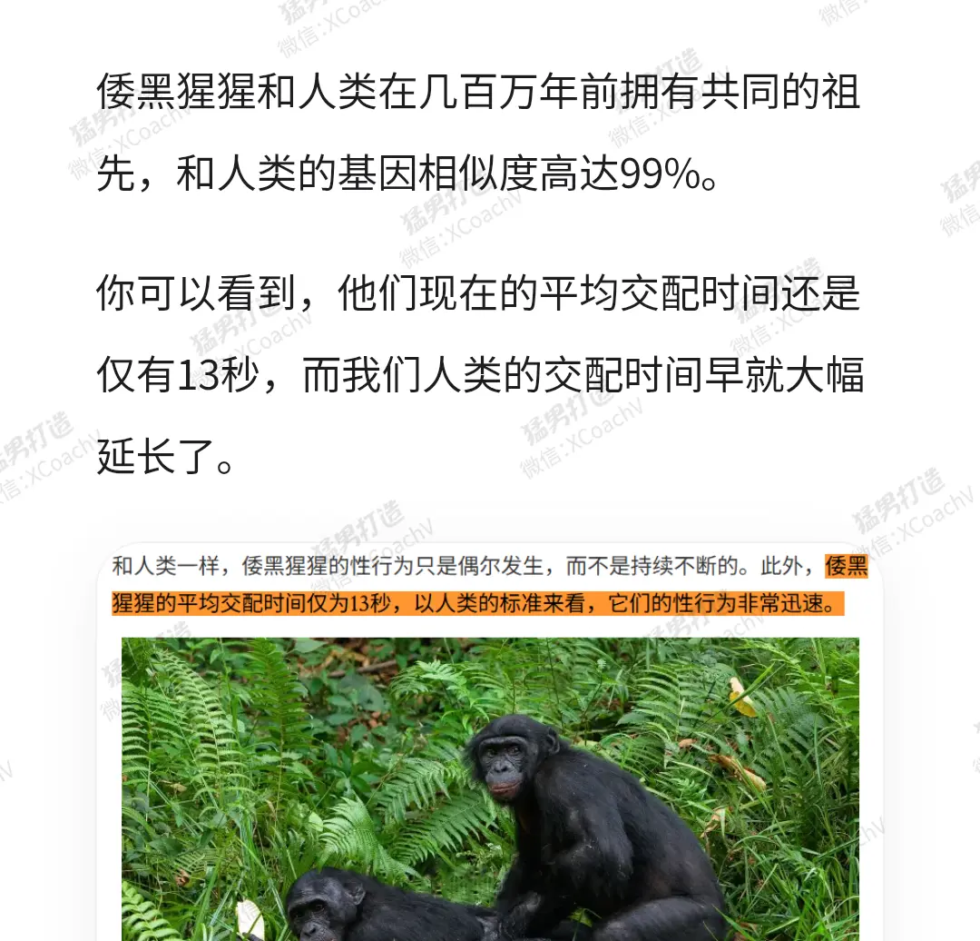 为什么会早泄_02