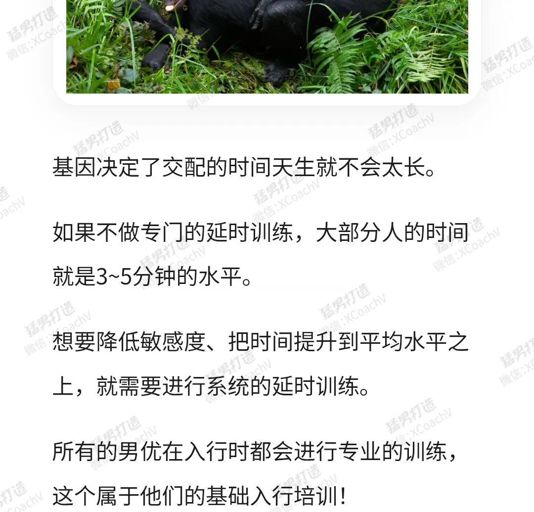 为什么会早泄_03